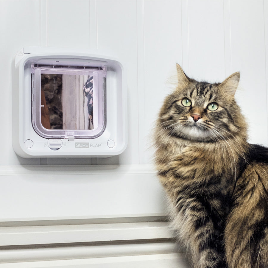 SureFlap Connect Microchip Cat Flap with Hub – White
