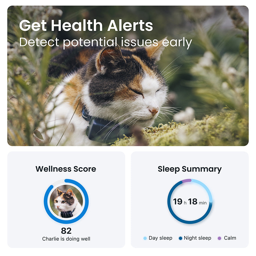 Tractive Smart GPS Cat Tracker – Real-Time Location & Activity Monitor, Black