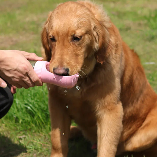 Adventure Ready: 2-in-1 Portable Water Bottle and Pet Feeder for Small and Large Pets